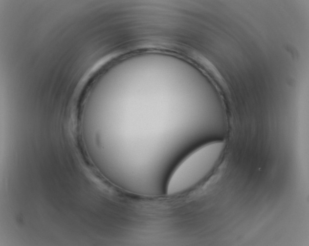 X0000114530931200910191007