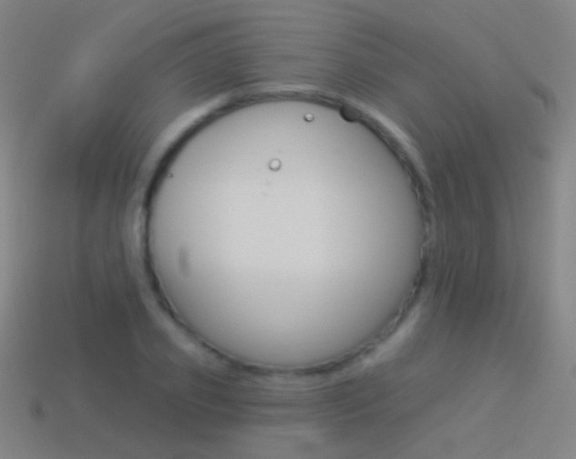 X0000114530933200910191007