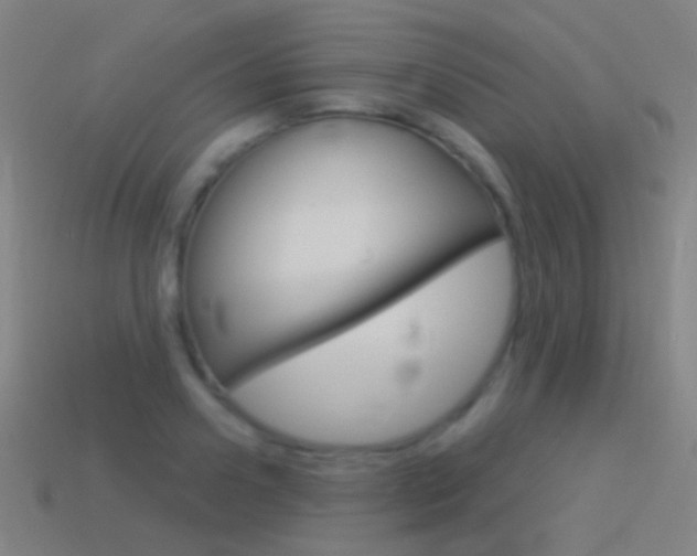 X0000114530938200910191007