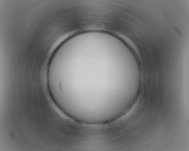 X0000114530941200910191007