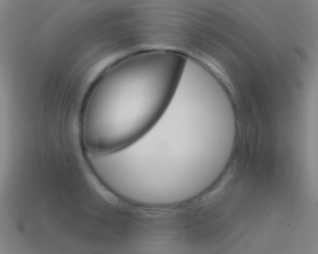 X0000114530942200910191007