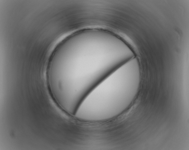 X0000114530943200910191007