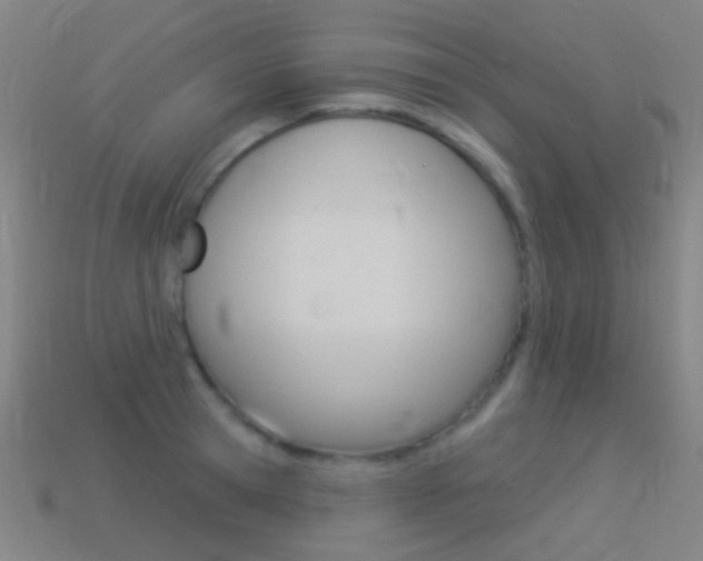 X0000114530945200910191007