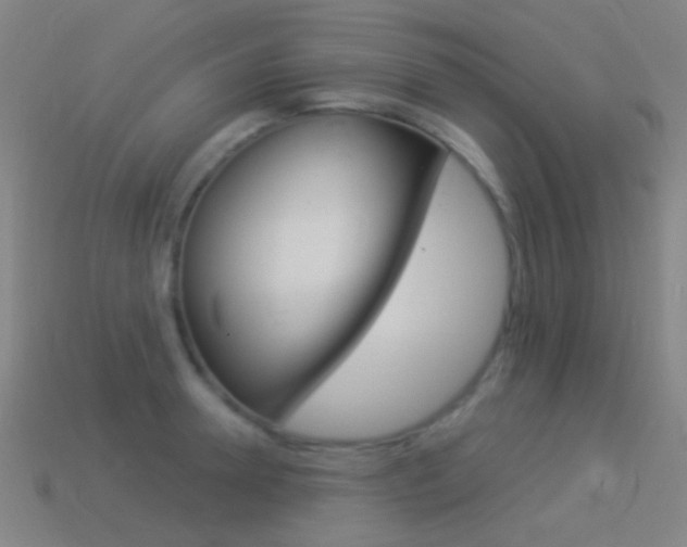 X0000114530946200910191007