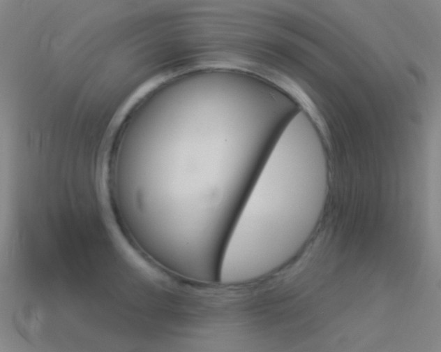 X0000114530947200910191007