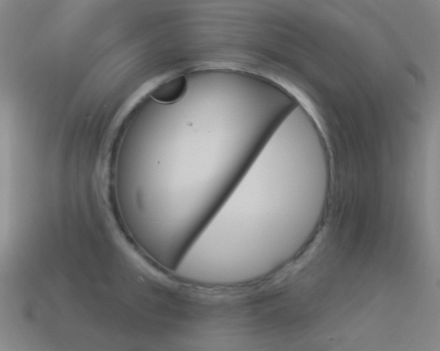 X0000114530949200910191007