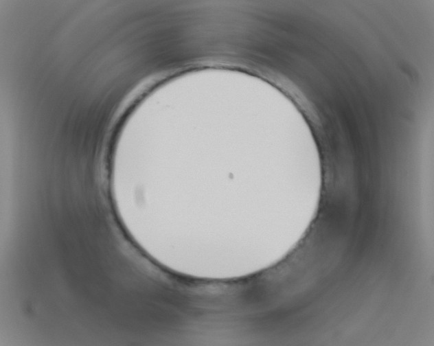 X0000114530950200910191007