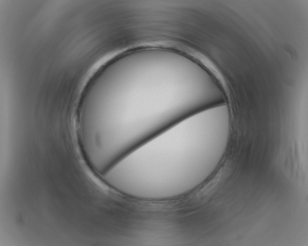 X0000114530951200910191007