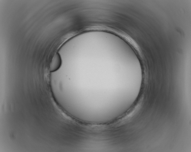 X0000114530953200910191007