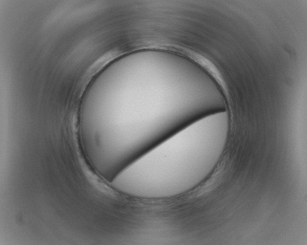 X0000114530954200910191007