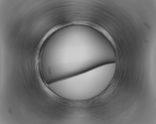 X0000114530955200910191007