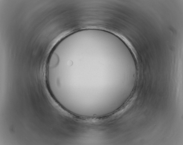 X0000114530957200910191007