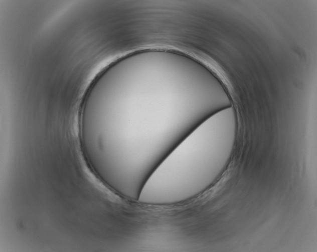 X0000114530958200910191007