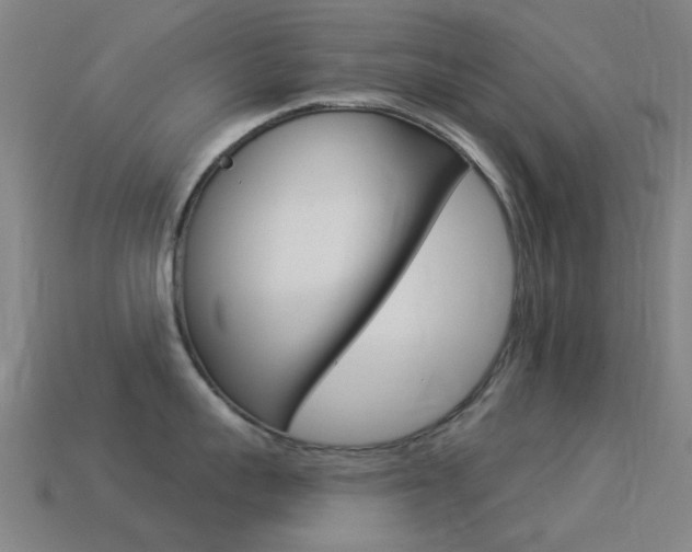 X0000114530959200910191007