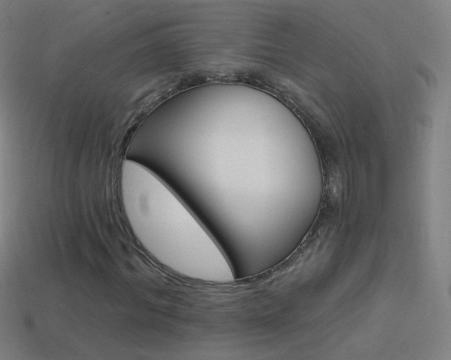 X0000114530964200910191007