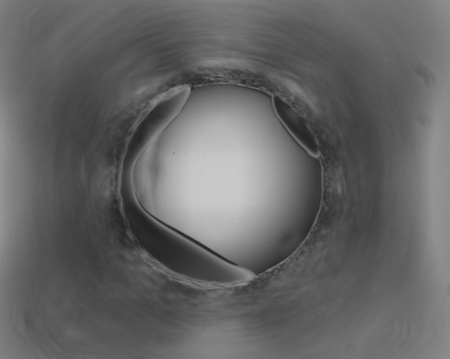 X0000114530965200910191007