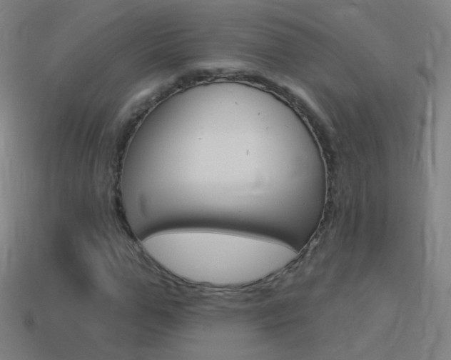 X0000114530967200910191007