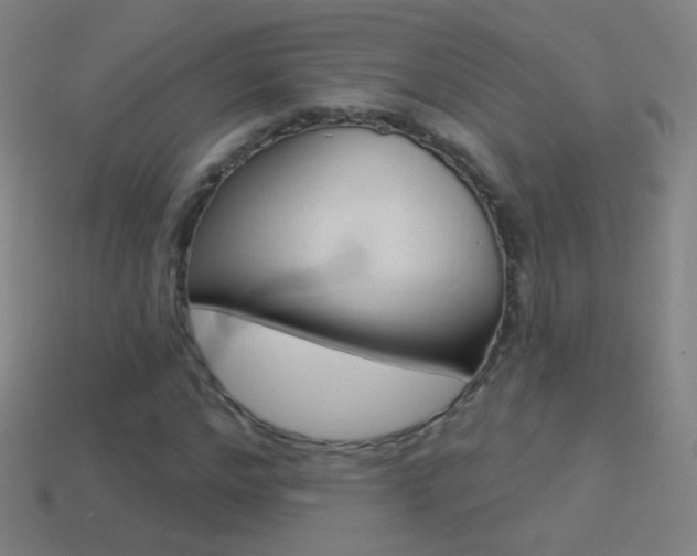 X0000114530968200910191007