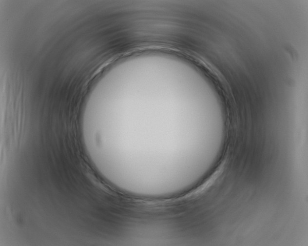 X0000114530969200910191007