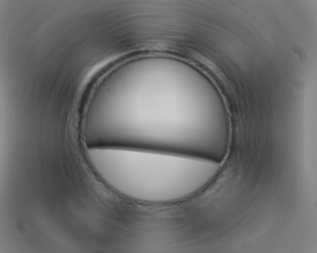 X0000114530971200910191007