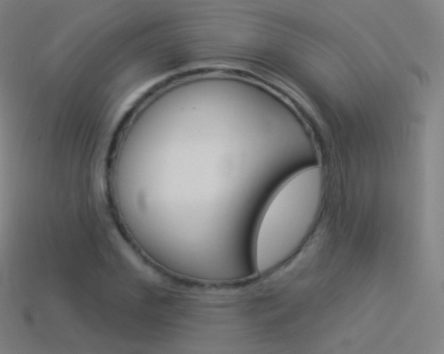 X0000114530972200910191007
