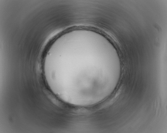 X0000114530974200910191007