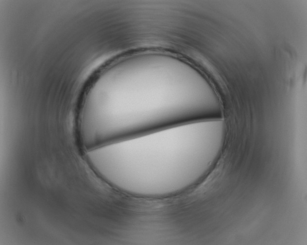 X0000114530975200910191007