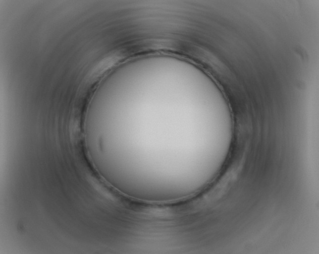 X0000114530977200910191007