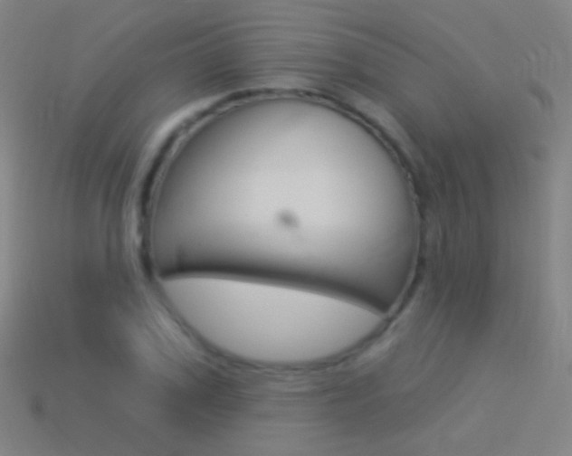 X0000114530979200910191007