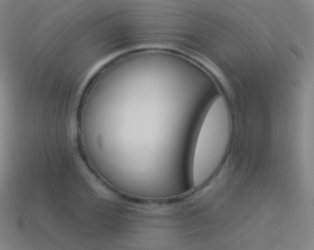X0000114530980200910191007