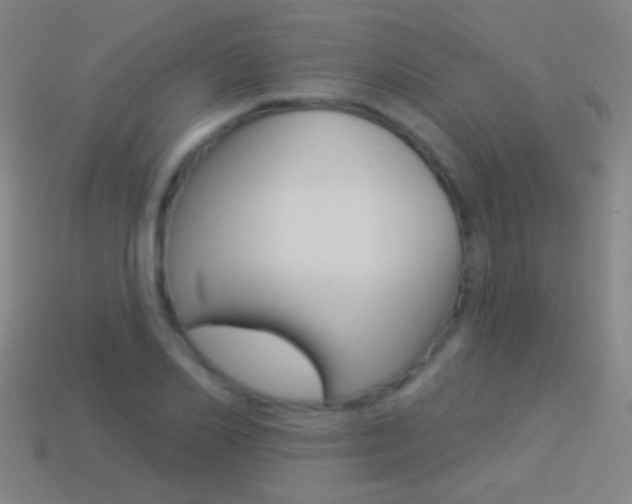 X0000114530982200910191007