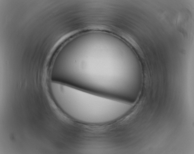 X0000114530984200910191007