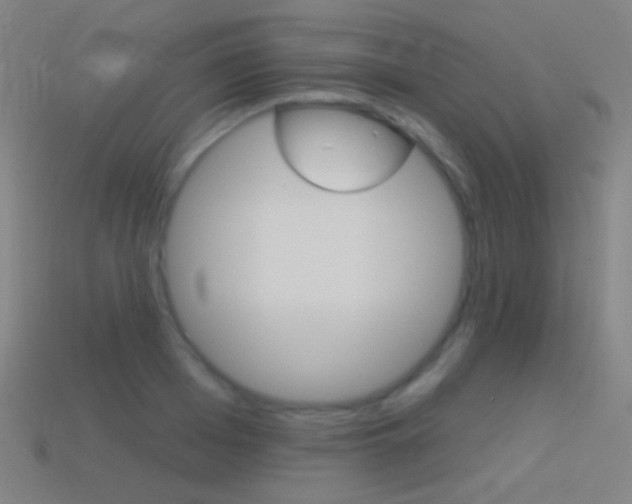 X0000114530985200910191007