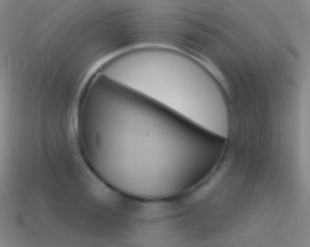 X0000114530988200910191006