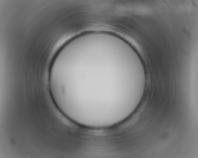 X0000114530990200910191006