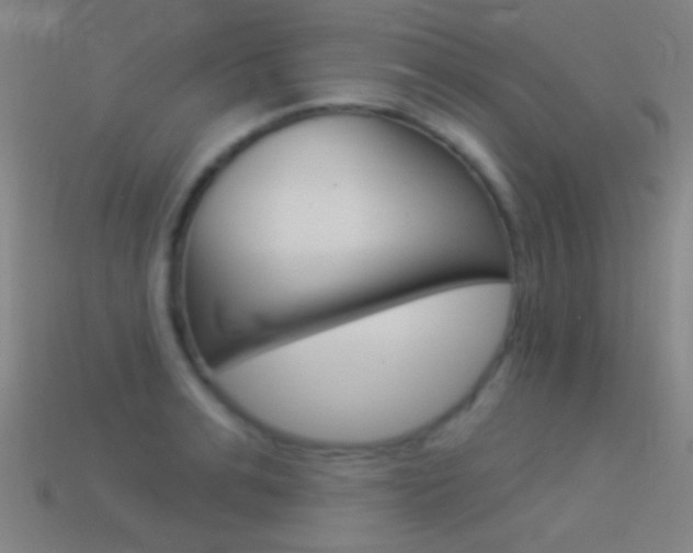 X0000114530991200910191006