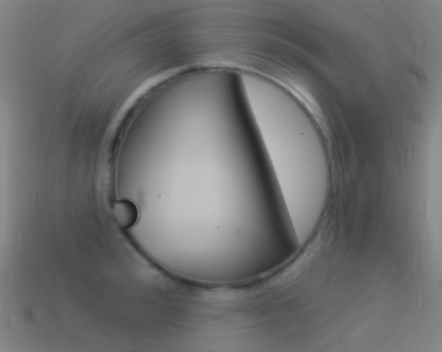 X0000114530992200910191006