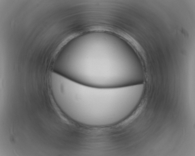 X0000114530993200910191006