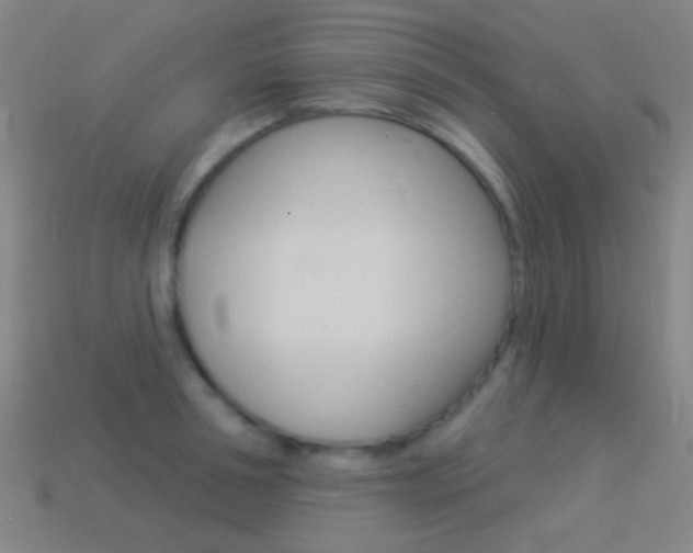 X0000114530994200910191006
