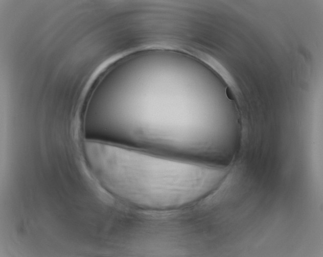 X0000114530996200910191006