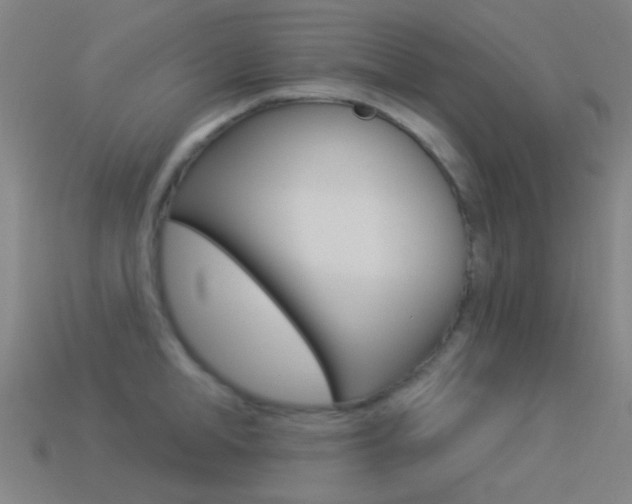 X0000114530998200910191006
