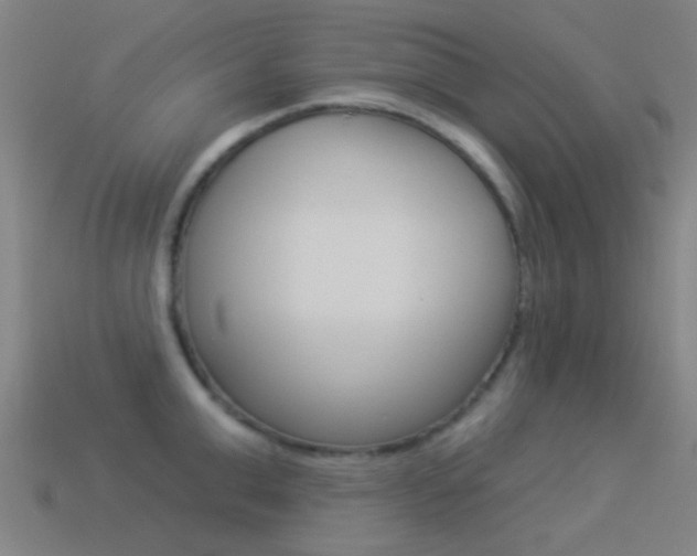 X0000114530999200910191006
