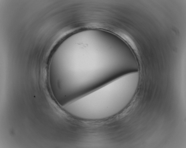 X0000114531000200910191006