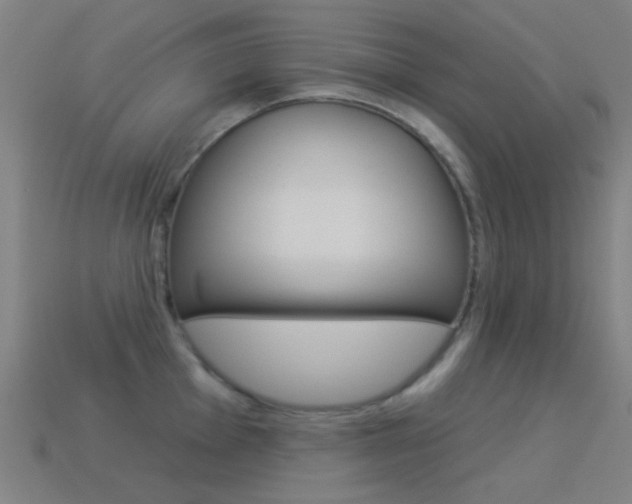 X0000114531001200910191006