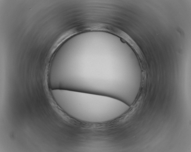 X0000114531002200910191006