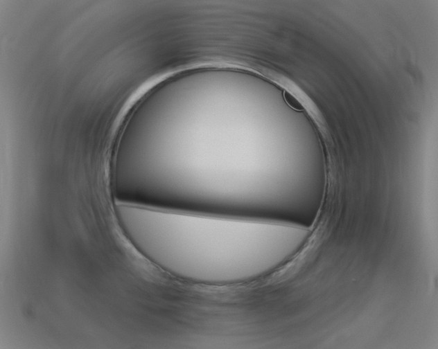 X0000114531004200910191006