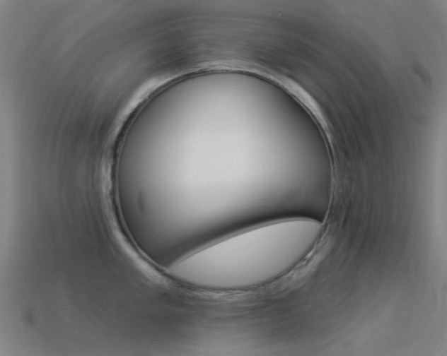 X0000114531005200910191006