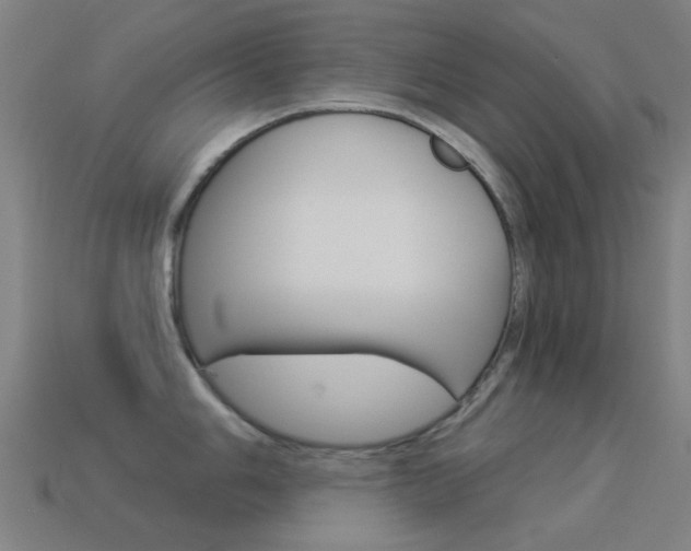 X0000114531006200910191006