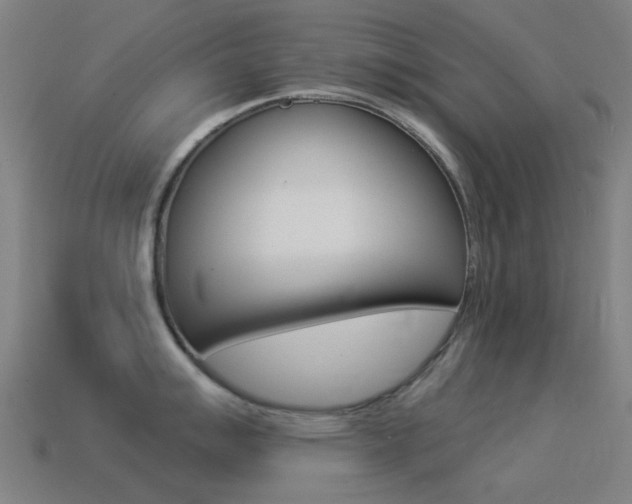 X0000114531007200910191006