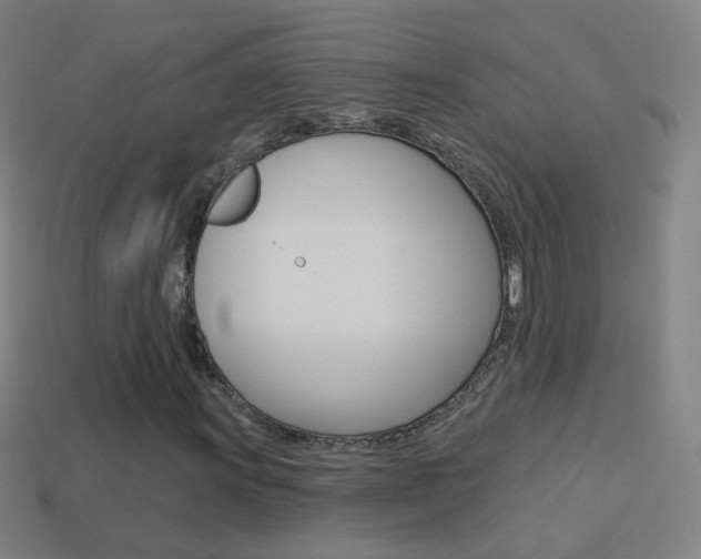 X0000114531011200910191006